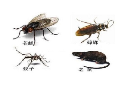 大岭山除四害杀虫没有看到害虫呈现，有必要定期虫害防治吗？