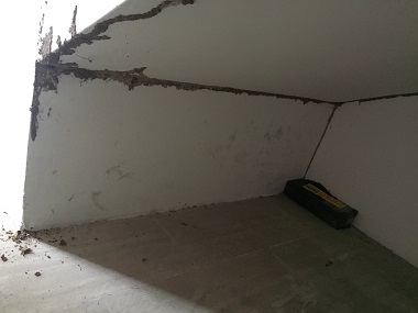沙田预防白蚁公司该怎么灭治房屋建筑中的白蚁