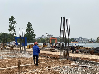 东莞白蚁控制中心新建房屋基础预防白蚁指南